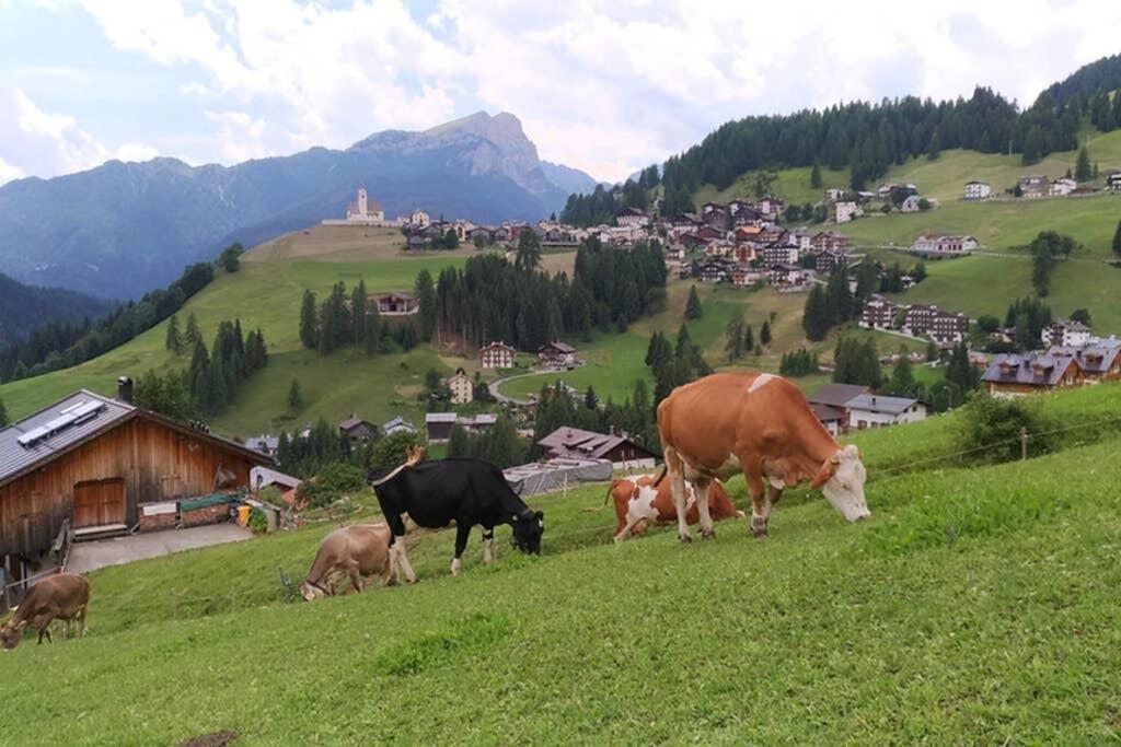 App. Monte Pore - Agriturismo La Majon Коле Санта Лучия Екстериор снимка